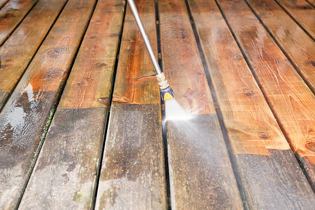 Animal Enclosure Cleaning in Randolph Af, TX